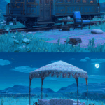 月明かりの中の草原の風変わりな風景