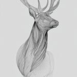 Minimalistic Form of a Majestic Stag