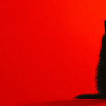 A Sinister Scarlet Vision